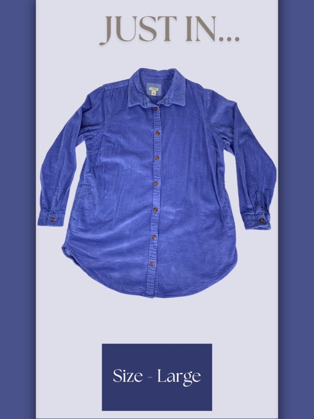 LL Bean Corduroy Cotton Button Down Shirt Periwinkle Gorpcore Granola Girl